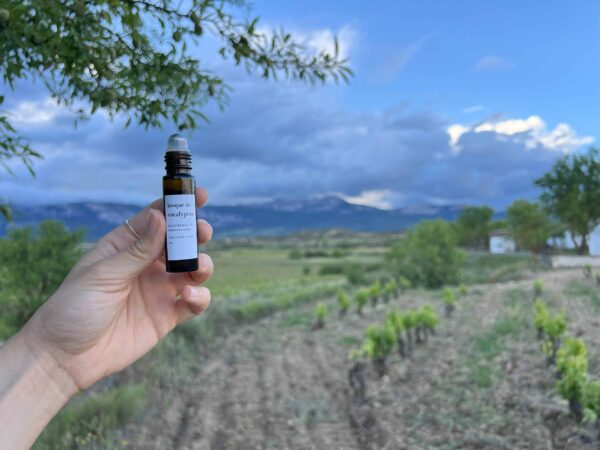 Bosque de Eucaliptus