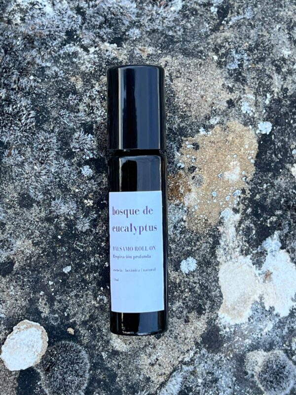 Bosque de Eucaliptus