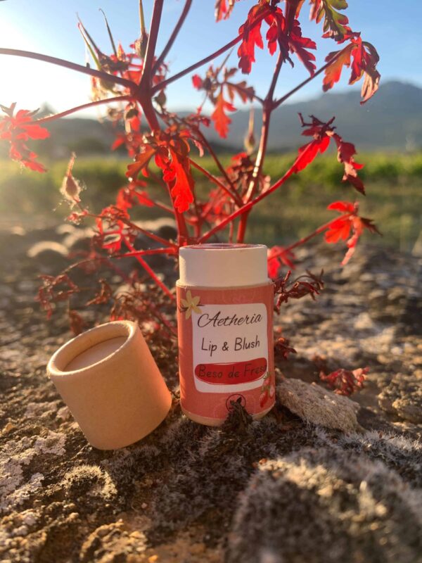 Lip and Blush Beso de Fresa