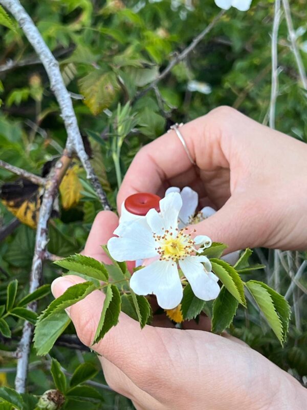 Lip and Blush Beso de Fresa