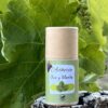 Labial de Uva y Menta