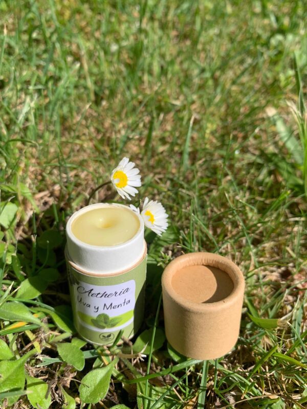 Labial de Uva y Menta