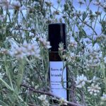 Flores de Lavanda
