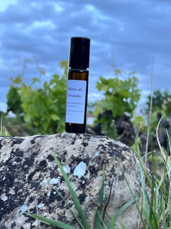 Flores de Lavanda