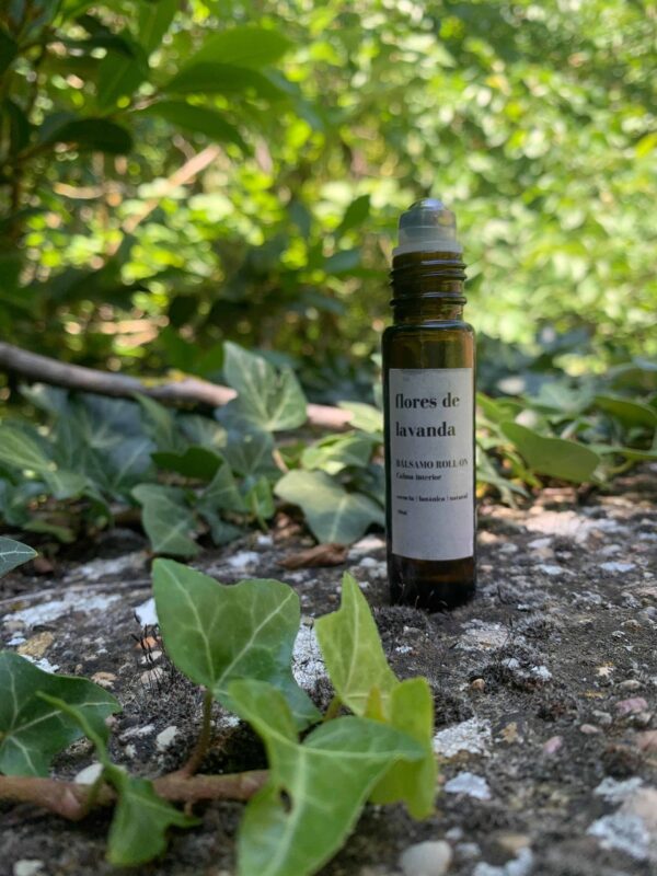 Flores de Lavanda