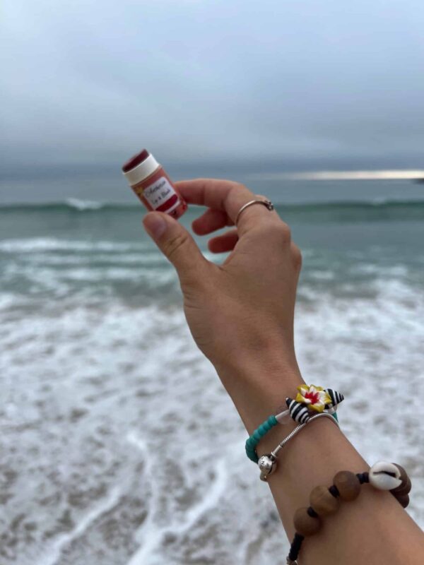 Lip and Blush Beso de Fresa