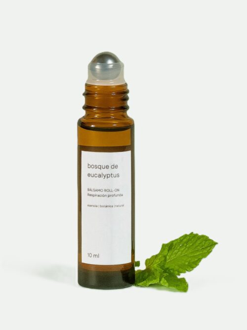 Bosque de Eucaliptus