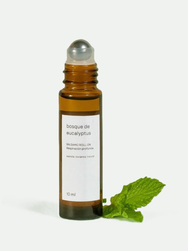 Bosque de Eucaliptus