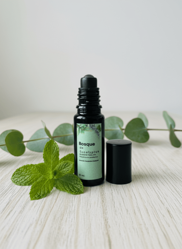 Bosque de Eucaliptus