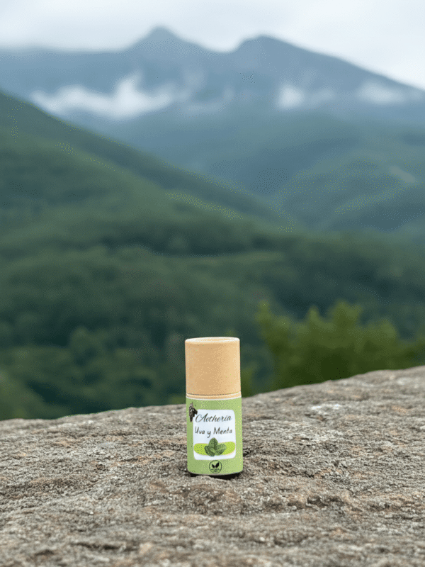 Labial de Uva y Menta